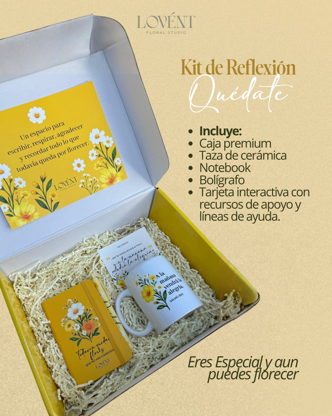 "Quédate " Kit de Reflexion