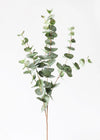 Eucalyptus Greenery Stem
