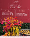 Lovent  Catering + Paellas en Vivo