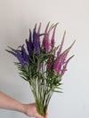 Veronica Flower Stem
