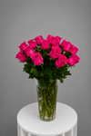 Love and Petals Rose